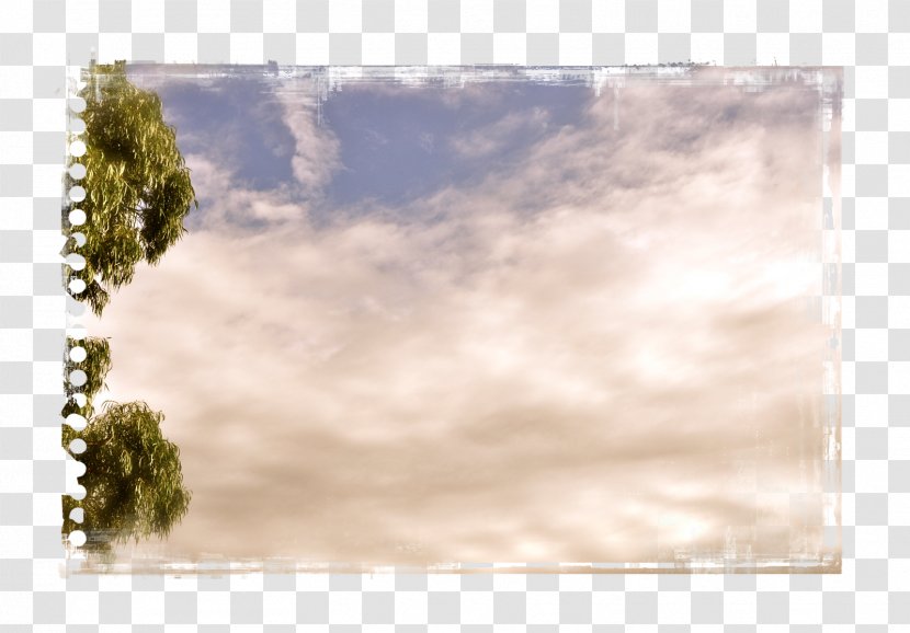 Picture Frames Stock Photography Tree - Meteorological Phenomenon Transparent PNG