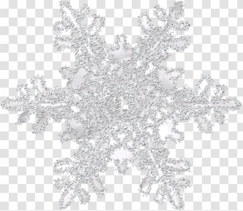 Snowflake Christian Connolly Clip Art - Image Transparent PNG