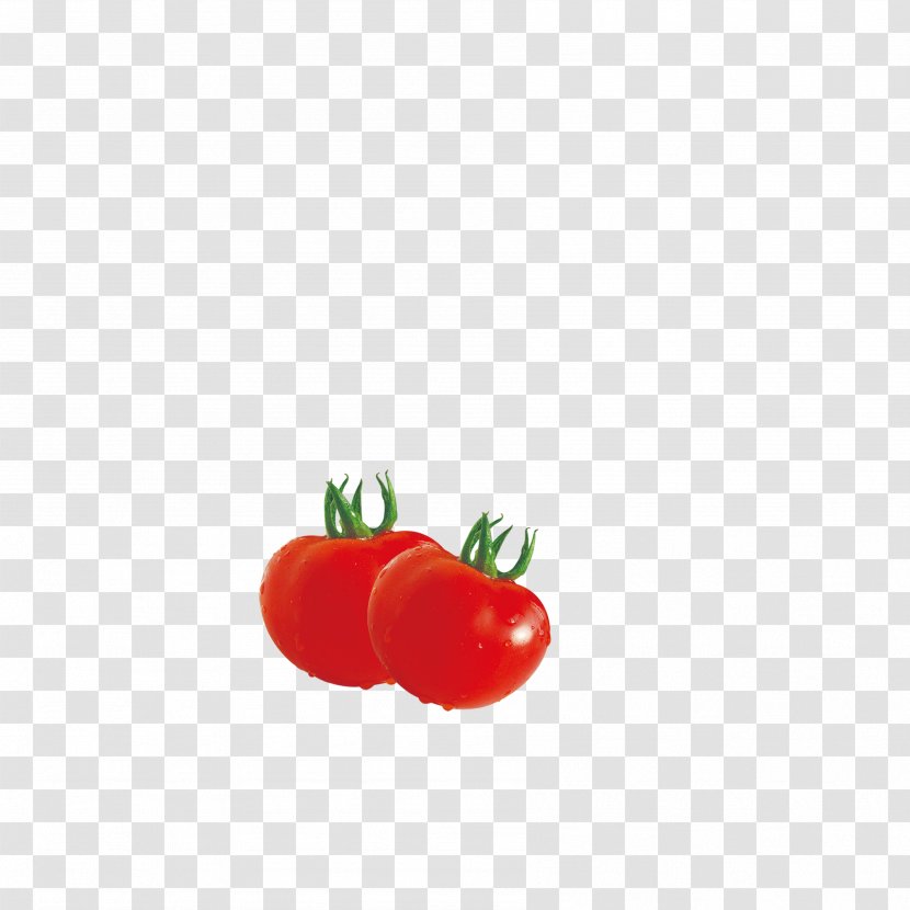 Red Tomato Vegetable - Drawing Transparent PNG