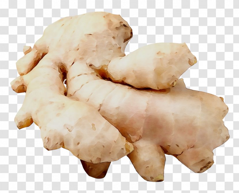 Ginger Root Vegetables Tuber China - Family Transparent PNG
