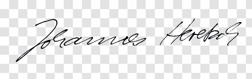 Logo Calligraphy Handwriting Line Font - Text Transparent PNG
