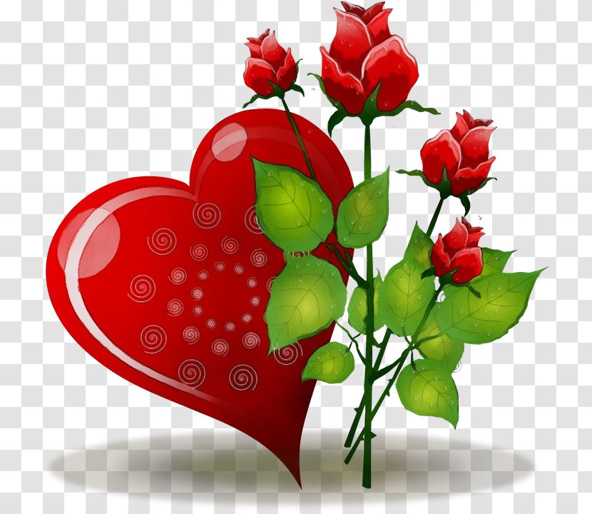 Valentine's Day - Plant - Love Rose Transparent PNG