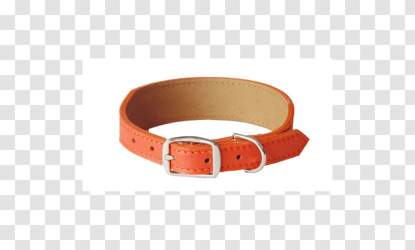 Belt Buckles Strap - Collar Transparent PNG