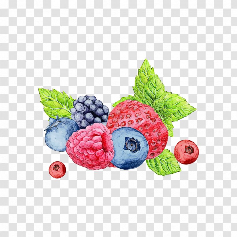 Watercolor Liquid - Rubus - Seedless Fruit Vitis Transparent PNG