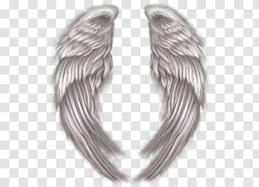 Clip Art - Fur - Angel Devil Transparent PNG