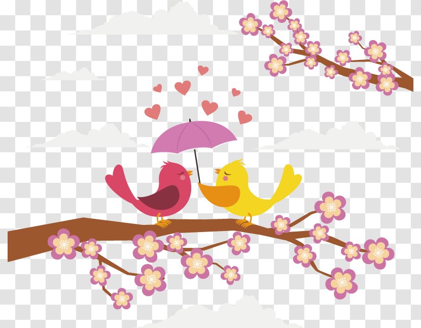 Lovebird Euclidean Vector - Heart - Love Birds Transparent PNG