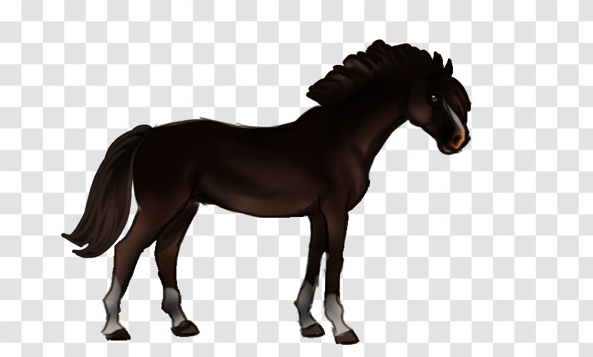 Horse Pony - Digital Art Transparent PNG