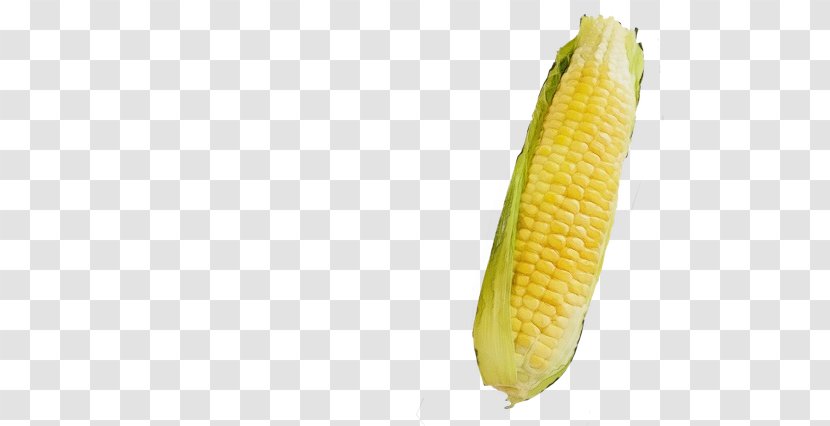 Corn On The Cob Sweet Maize Commodity Fruit - Food Plant Transparent PNG