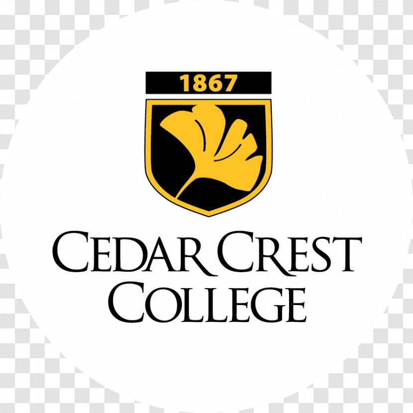 Cedar Crest College Muhlenberg Mayfair Festival Of The Arts Castleton University - Education - School Transparent PNG