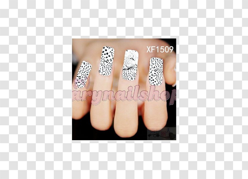 Nail Art Polish Artificial Nails Transparent PNG