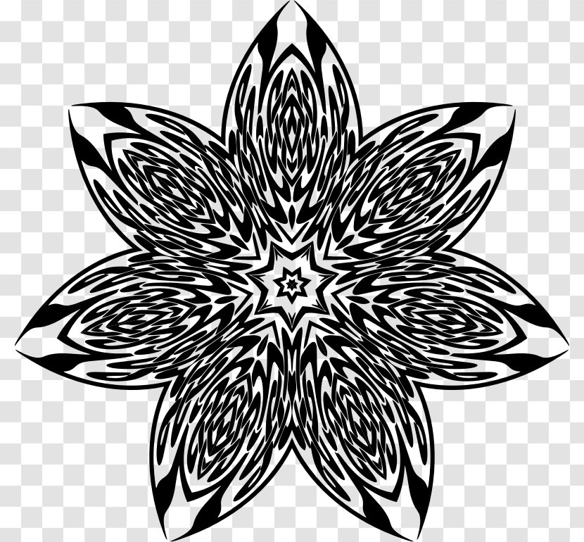 Symmetry Symbol Line Flowering Plant Pattern - Flower Transparent PNG