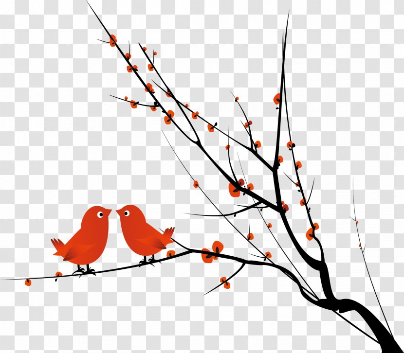 Bird - Stock Photography - Tree Transparent PNG