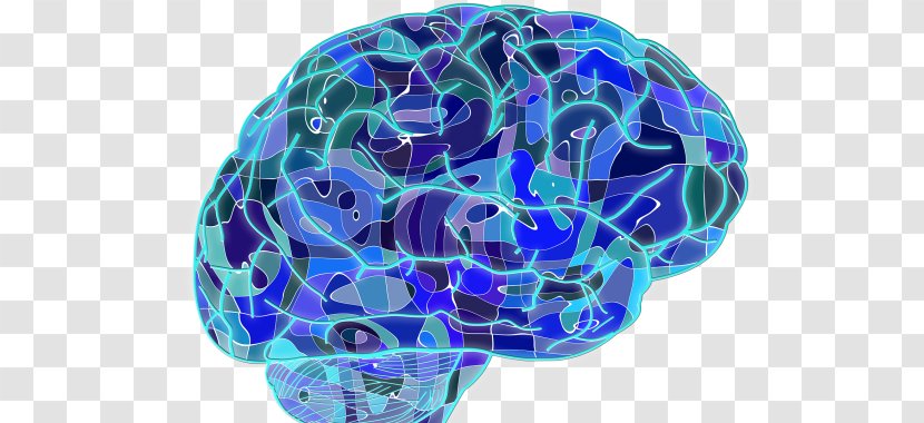 Brain Machine Learning Nervous System Unconscious Mind Neuroscience - Frame - Technology Transparent PNG