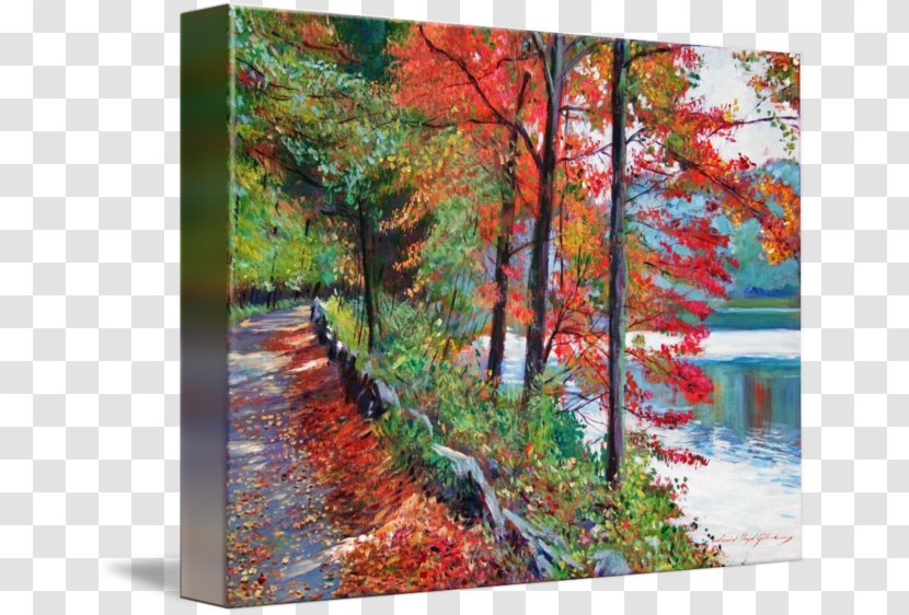 Painting Gallery Wrap Acrylic Paint Art Rockefeller State Park Preserve - Modern Transparent PNG