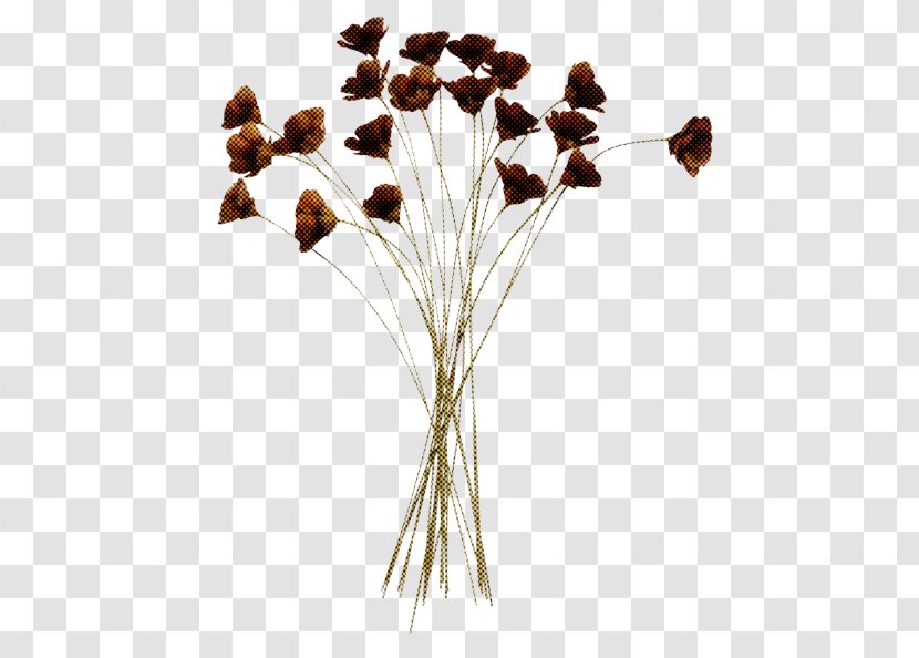 Artificial Flower - Plant Stem - Sedge Family Twig Transparent PNG