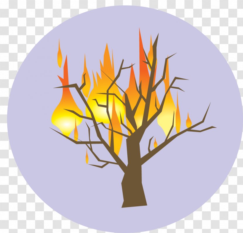 Burning Bush Tree Of Jesse Symbol God Presbyterianism Transparent PNG