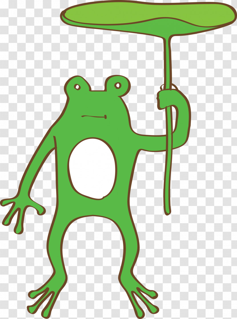 True Frog Frogs Toad Leaf Meter Transparent PNG