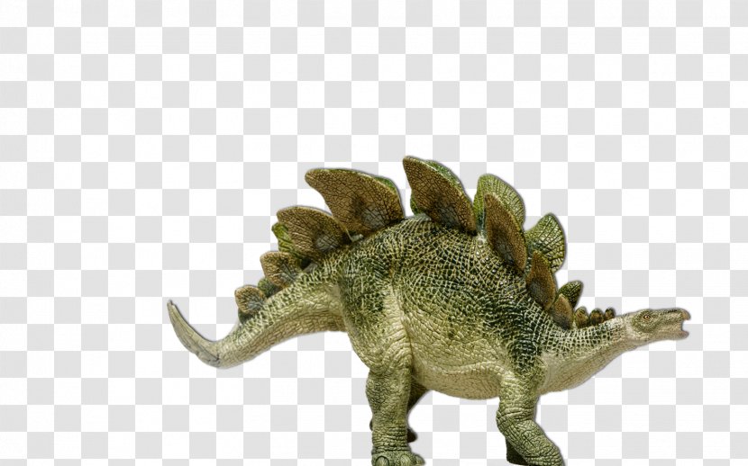 Stegosaurus Dinosaur Diplodocus Brachiosaurus - Stegosauridae - Dino Transparent PNG