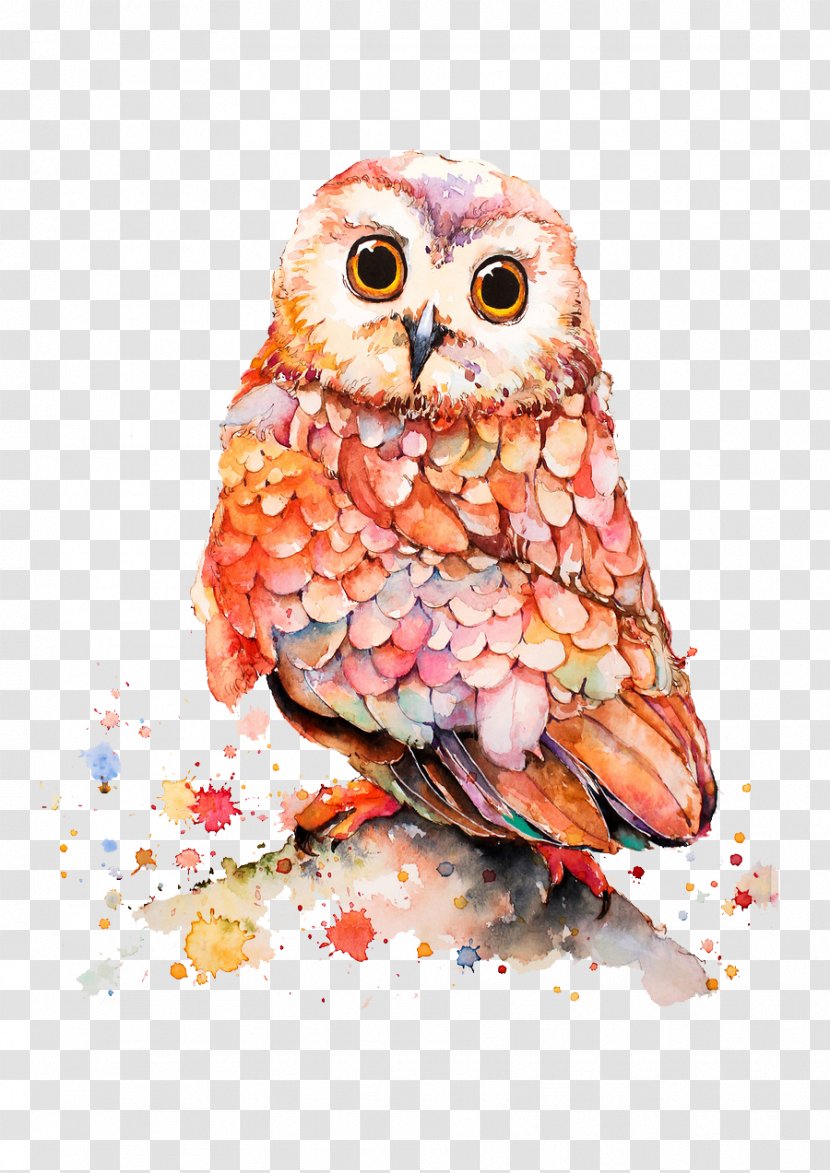Owl Cartoon Illustration - Hand-painted Transparent PNG