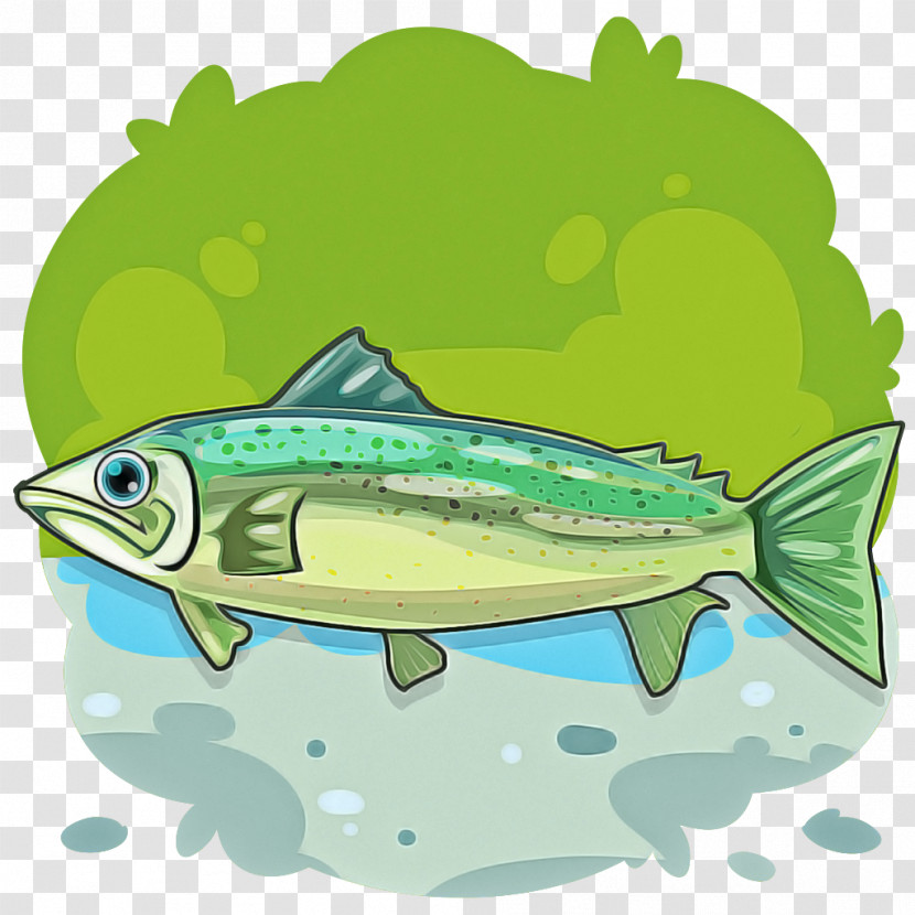 Fish Fish Mahi Mahi Bony-fish Salmon Transparent PNG