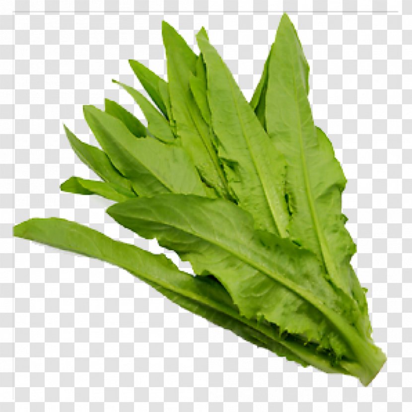 Spring Greens Celtuce Choy Sum Leaf Vegetable - Herb Transparent PNG