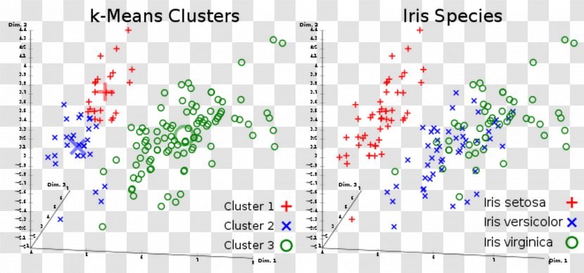 K-means Clustering Cluster Analysis Algorithm Machine Learning Unsupervised - Mean - Iris Flower Data Set Transparent PNG