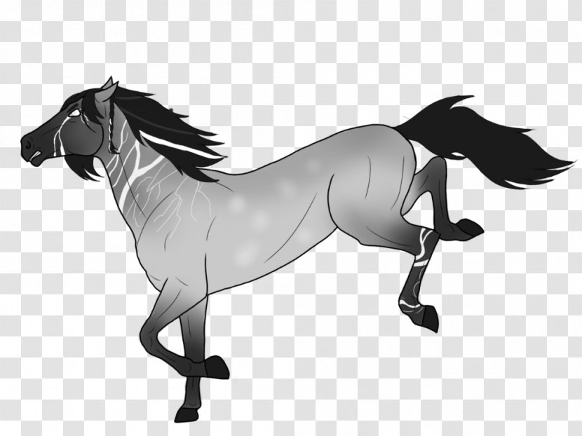 Mane Foal Stallion Pony Mustang Transparent PNG