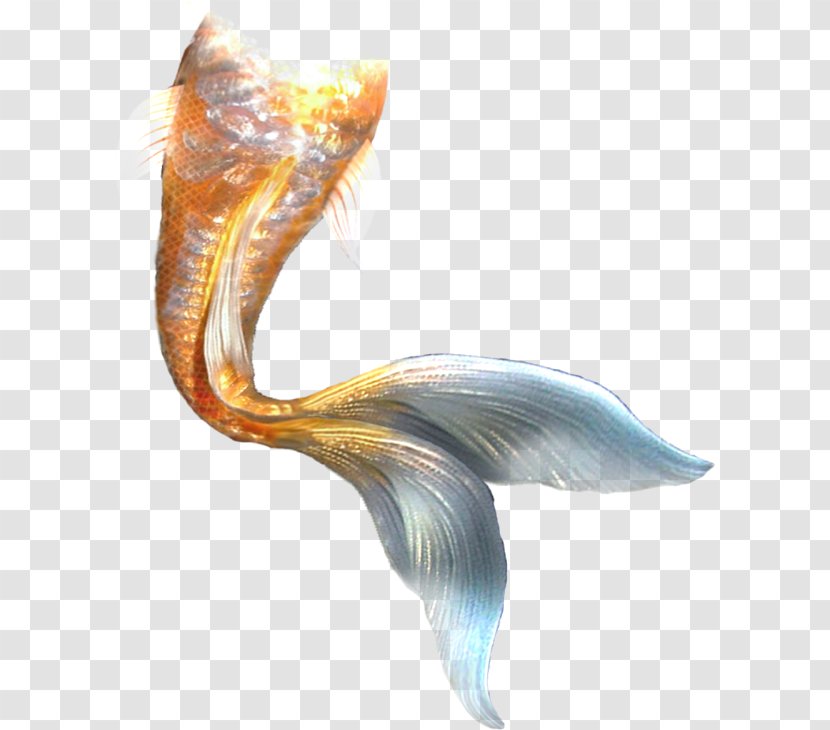 Mermaid Ariel Tail - Computer Transparent PNG