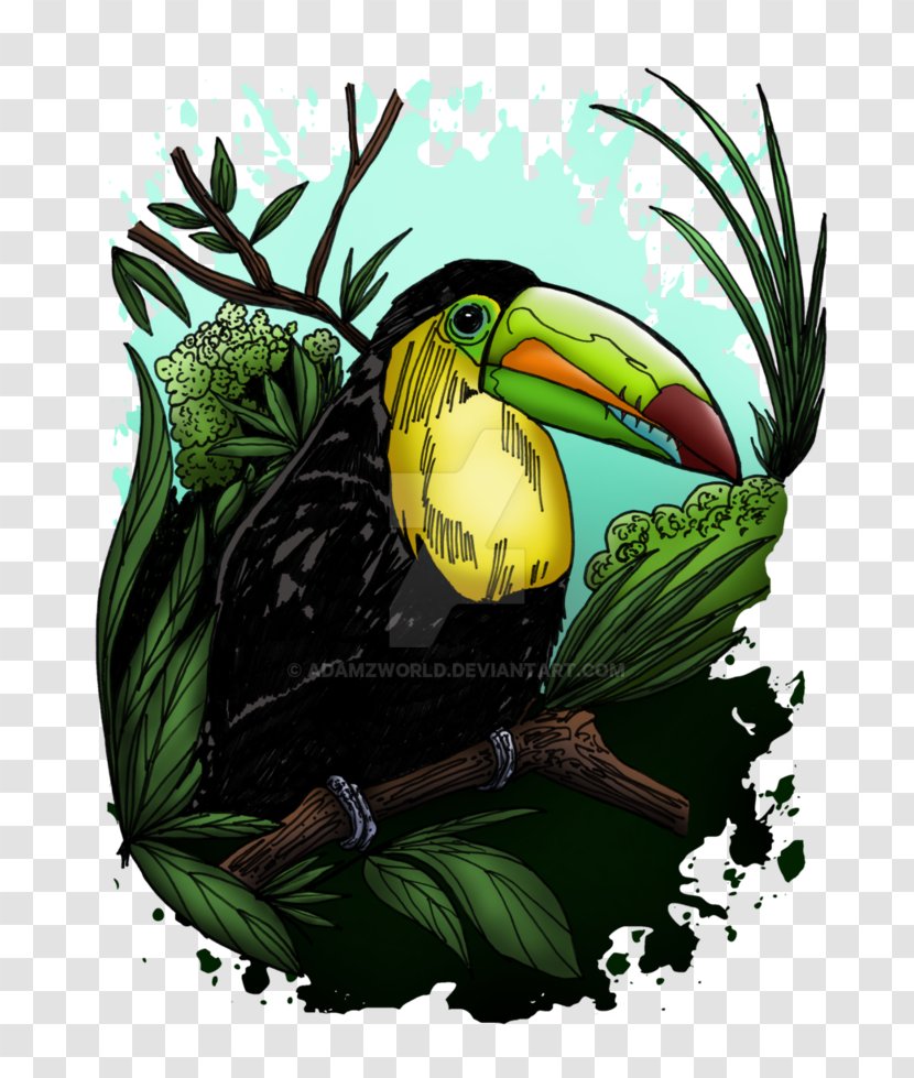 T-shirt Bird Top Fashion - Sleeve - Toucan Transparent PNG