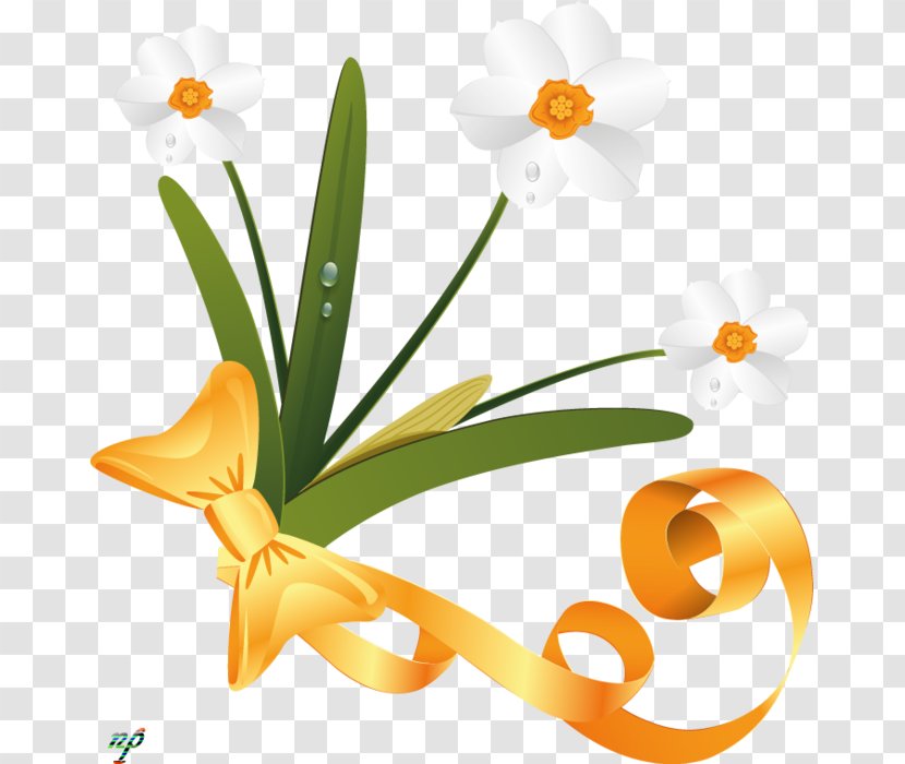 Floral Design Cut Flowers - Daffodil - Flower Transparent PNG