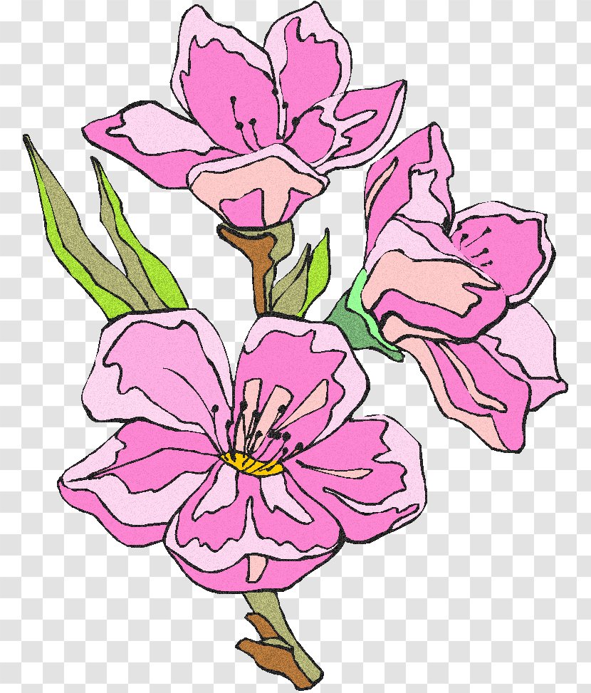 Floral Design Cut Flowers Flower Bouquet Plant Stem Transparent PNG