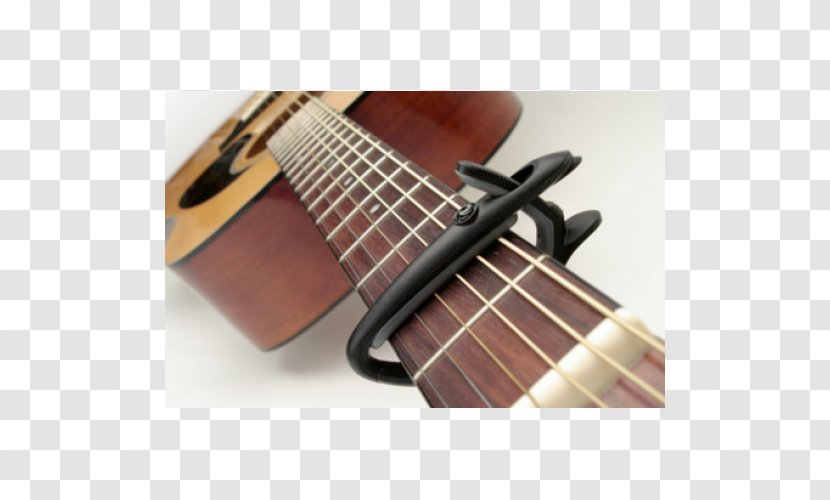 Bass Guitar Capo Acoustic Acoustic-electric Tiple - Tree Transparent PNG