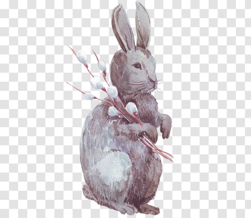 Domestic Rabbit Hare Easter Bunny Transparent PNG
