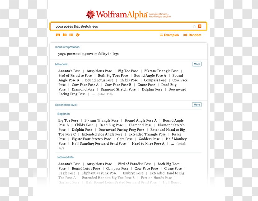 Wolfram Alpha Web Page Search Engine World Wide - Brand - Experience Yoga Classes Transparent PNG