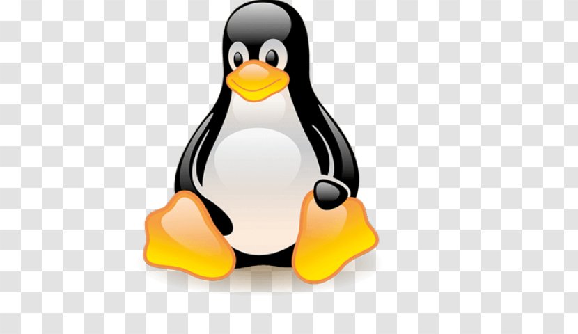Tux Racer Penguin Linux Kernel - Opensource Software Transparent PNG