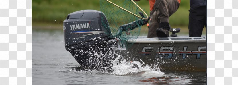 Water Transportation Vehicle Bayou Resources Hobby - King Salmon Transparent PNG