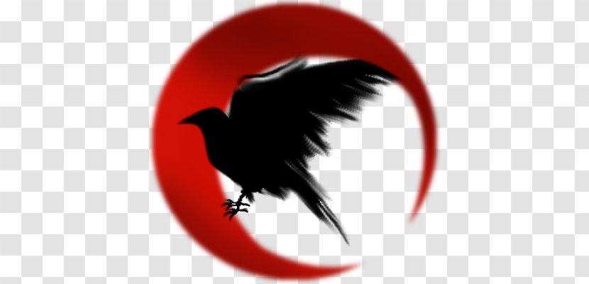 Common Raven Symbol The Meaning Transparent PNG