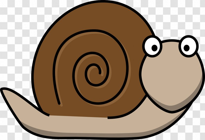 Snail Cartoon Molluscs Clip Art Transparent PNG