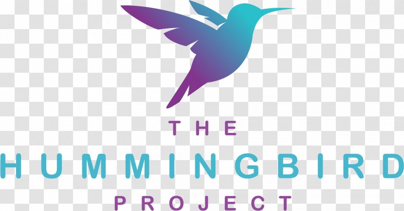 Hummingbird Logo Beak - Wing Transparent PNG