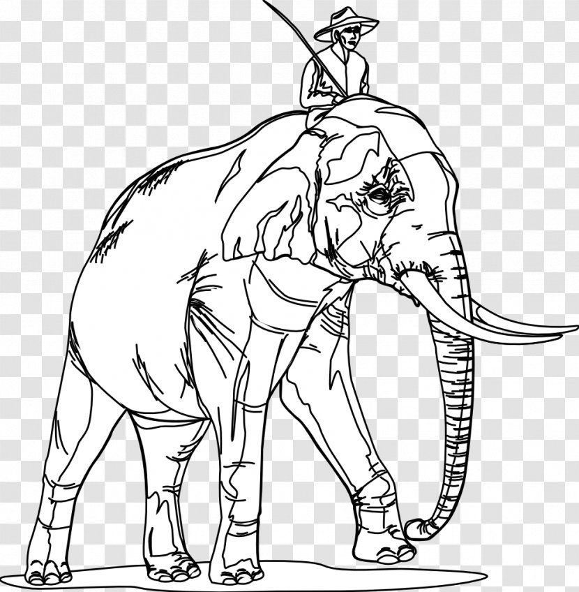 Line Art Indian Elephant Black And White Danse Macabre Drawing - Organism - Ant Transparent PNG