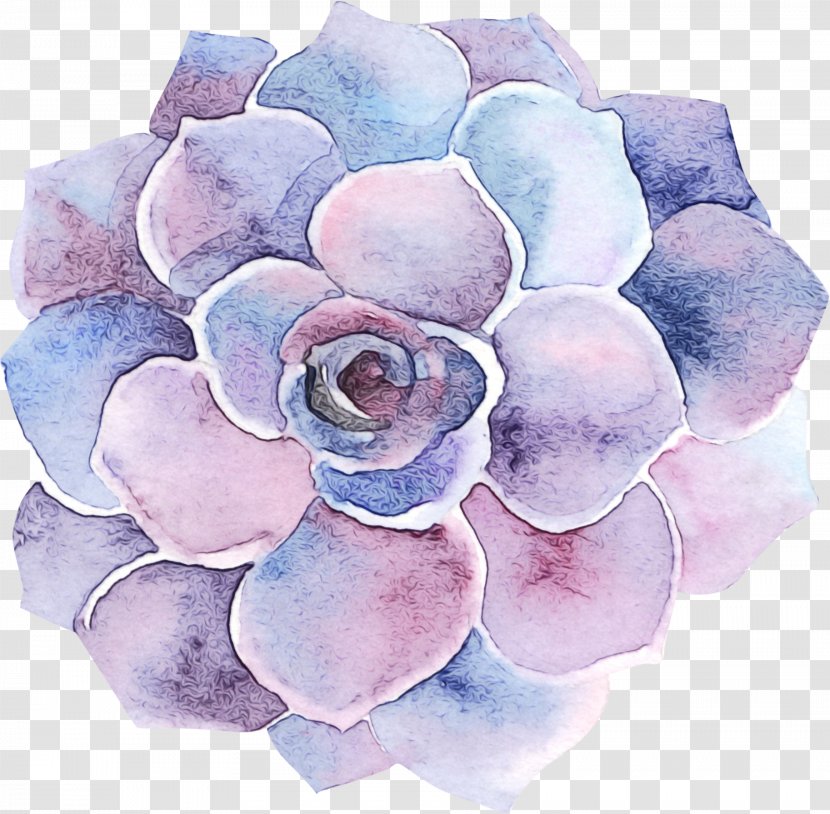 Blue Watercolor Flowers - Wet Ink - Japanese Camellia Garden Roses Transparent PNG