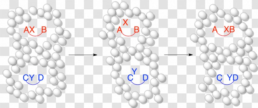 Cage Effect Crossover Experiment Chemistry Solvent Effects Chemical Reaction - Wikiwand Transparent PNG