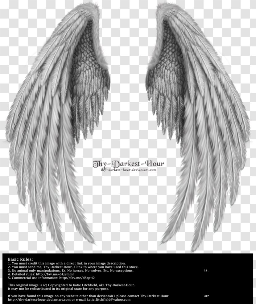 Angel Wing - Monochrome - Wing,Angel Wings,Real Transparent PNG
