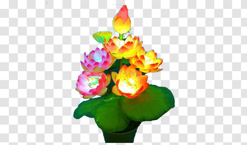 Garden Roses Flower Lamp - Lantern - Lotus Free To Pull The Material Transparent PNG