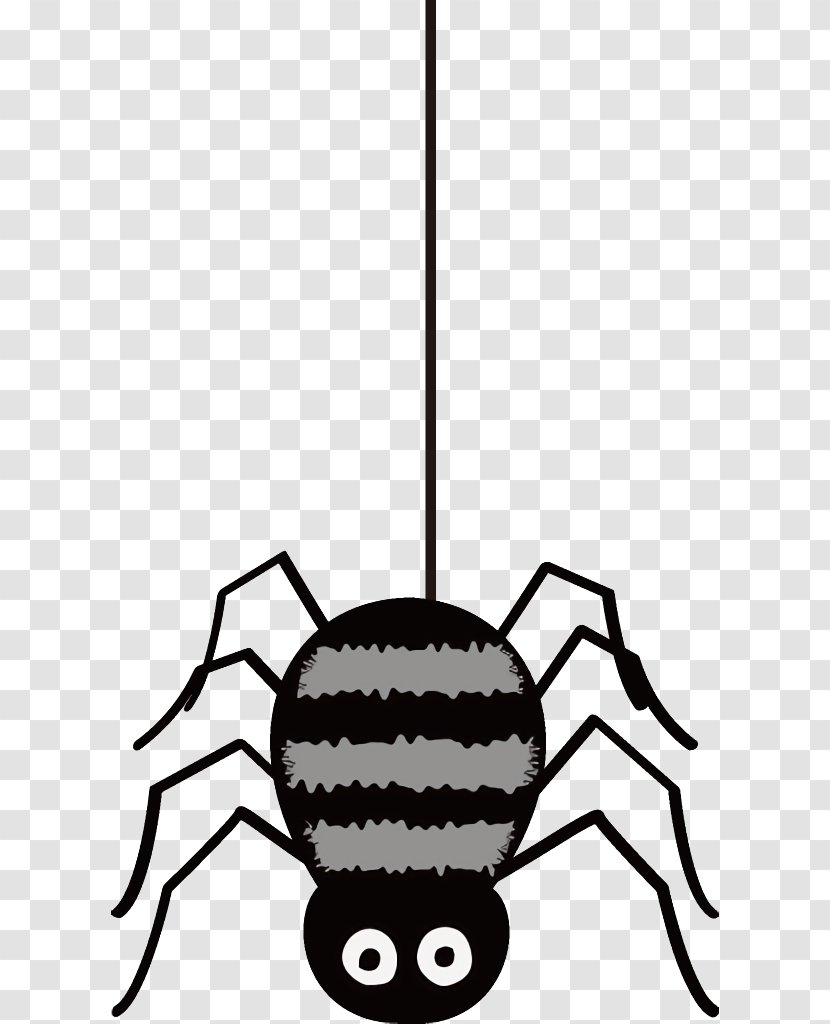 Spider Halloween - Arachnid - Insect Transparent PNG