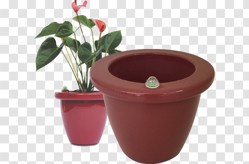 Flowerpot Houseplant Treatment Of Cancer Ceramic - Plastic - Plant Transparent PNG