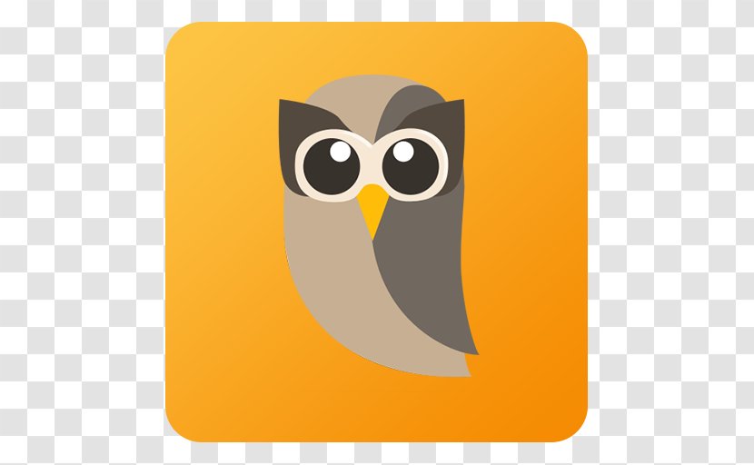 Owl Yellow Bird Of Prey Beak Orange - Hootsuite Transparent PNG