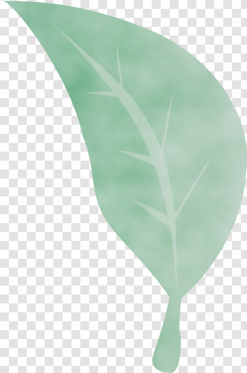 Floral Design Transparent PNG