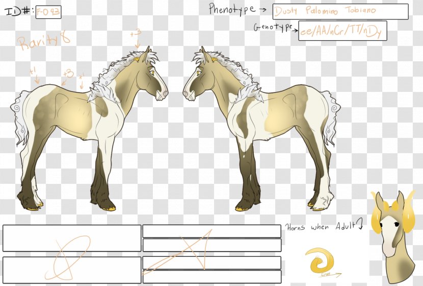 Mule Foal Mustang Stallion Colt - Joint Transparent PNG