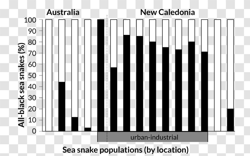 Coral Reef Snakes Biology Emydocephalus Annulatus Les Serpents Marins - Melanism - Snake Transparent PNG